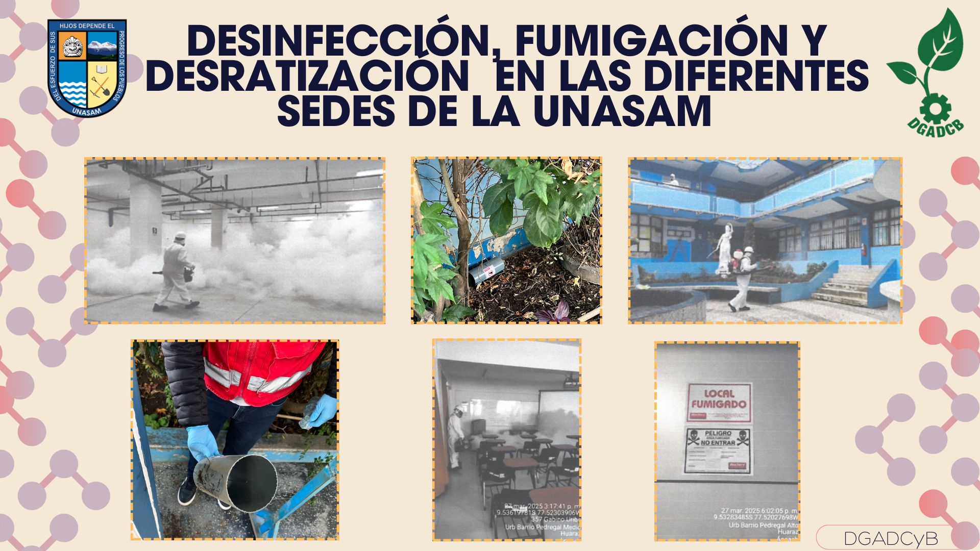 Imagen de la actividad