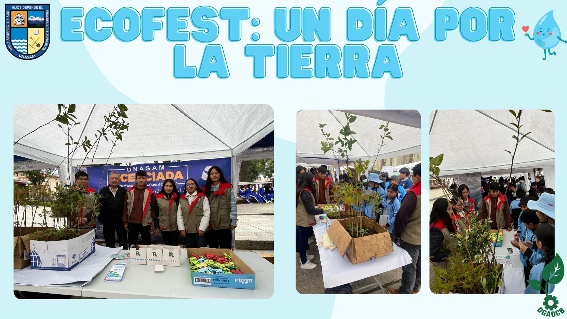 Imagen de la actividad